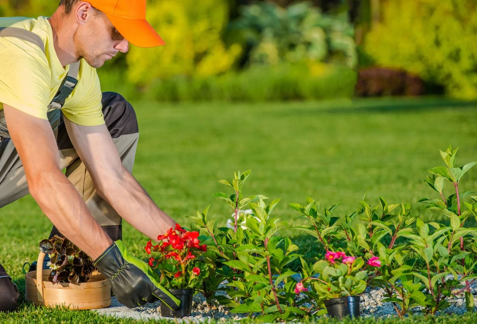 A landscaper planting flowers along a lawn